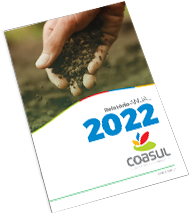 Relatrio Anual Coasul