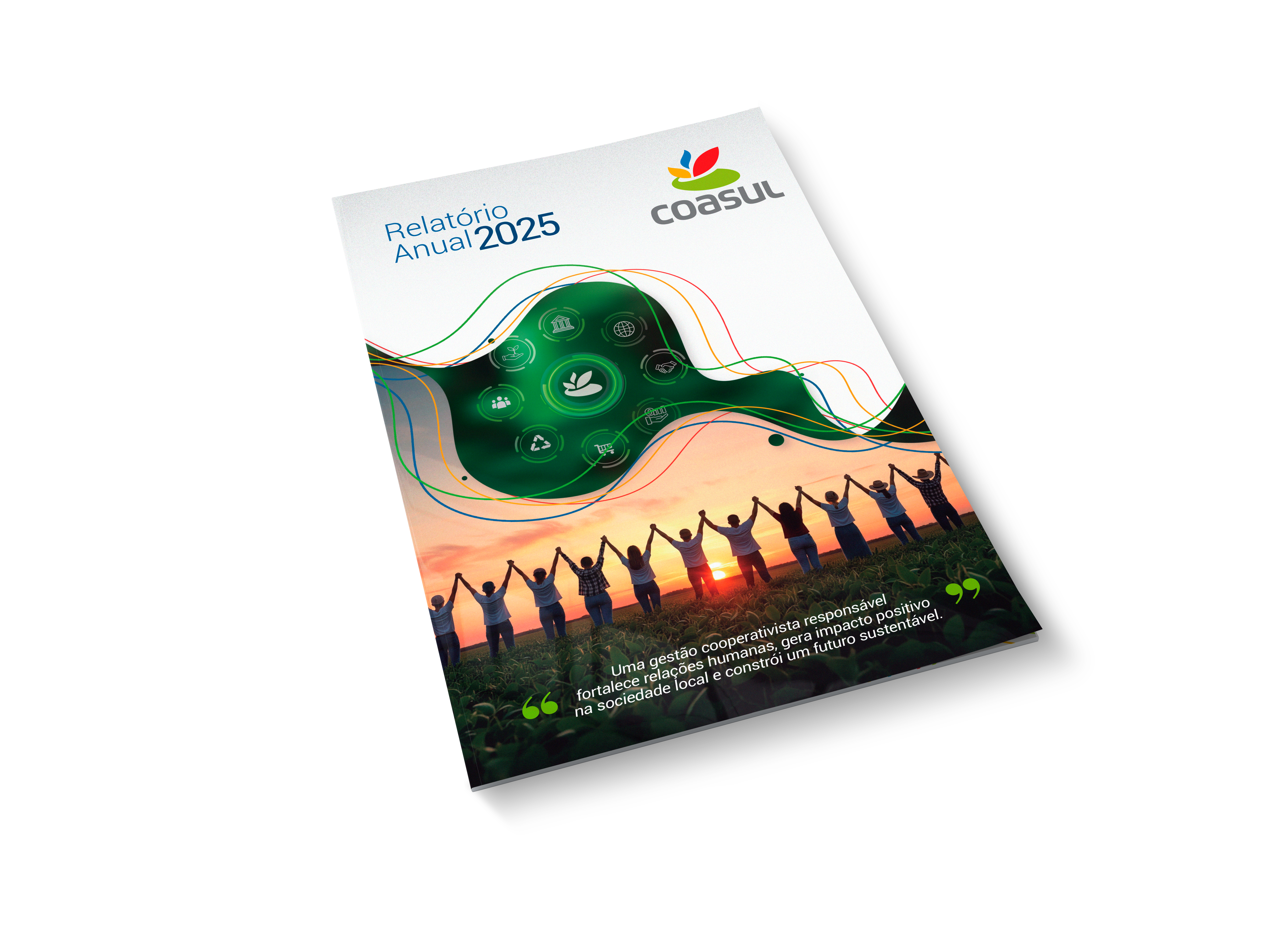 Relat�rio Anual Coasul